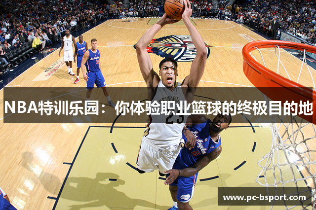 NBA特训乐园：你体验职业篮球的终极目的地