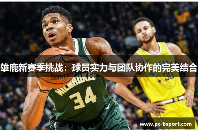 雄鹿新赛季挑战：球员实力与团队协作的完美结合